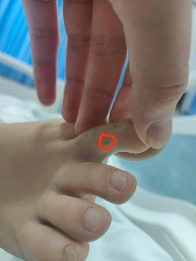 回应质疑：没提任何索赔只希望调查清楚K8凯发国际三亚身亡女游客堂姐直播(图2)